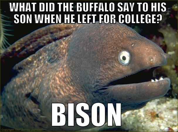 WHAT DID THE BUFFALO SAY TO HIS SON WHEN HE LEFT FOR COLLEGE? BISON Bad Joke Eel