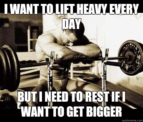 I want to lift heavy every day But I need to rest if I want to get bigger  Bodybuilder Problems