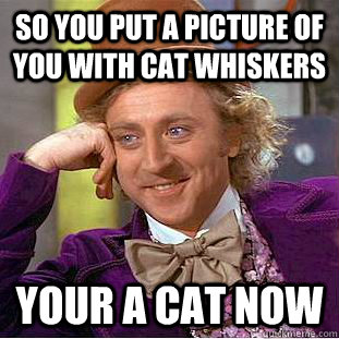 So you put a picture of you with cat whiskers  your a cat now  - So you put a picture of you with cat whiskers  your a cat now   Condescending Wonka