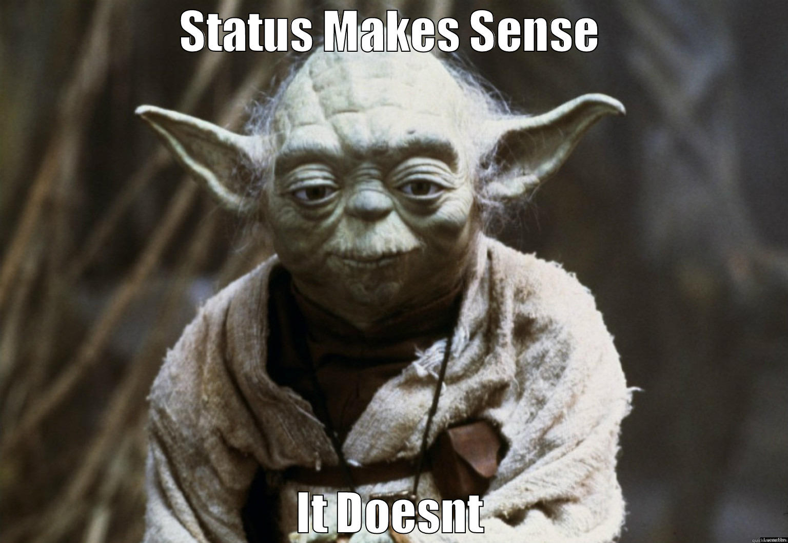 Yoda Wise Words - STATUS MAKES SENSE IT DOESNT Misc