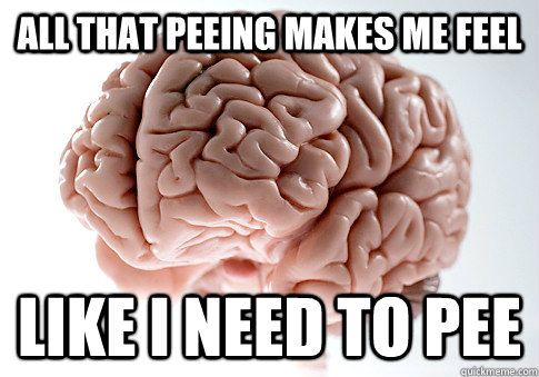 All that peeing makes me feel like I need to pee  Scumbag Brain