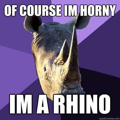 Of course im horny im a rhino  Sexually Oblivious Rhino