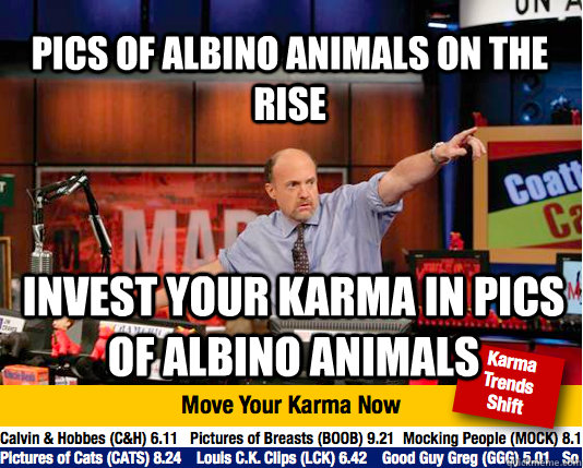 pics of albino animals on the rise invest your karma in pics of albino animals  Mad Karma with Jim Cramer