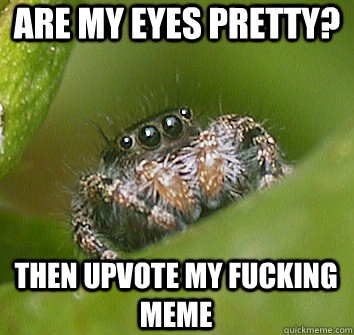 Are my eyes pretty? THEN UPVOTE MY FUCKING MEME  Misunderstood Spider