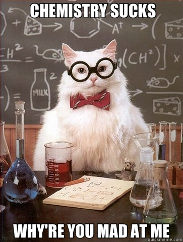  CHEMISTRY SUCKS WHY'RE YOU MAD AT ME -  CHEMISTRY SUCKS WHY'RE YOU MAD AT ME  Chemistry Cat