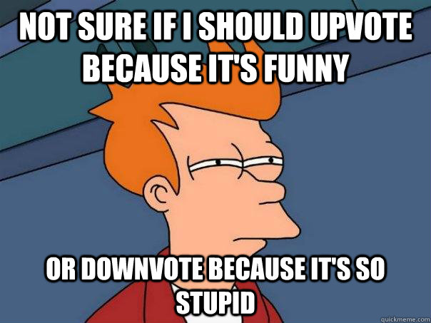 Not sure if I should upvote because it's funny Or downvote because it's so stupid  Futurama Fry