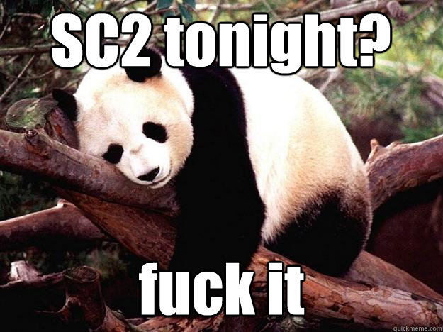 SC2 tonight? fuck it   Procrastination Panda