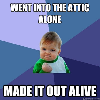 WENT INTO THE ATTIC ALONE MADE IT OUT ALIVE  Success Kid