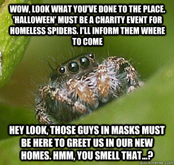 wow, look what you've done to the place. 'halloween' must be a charity event for homeless spiders. i'll inform them where to come hey look, those guys in masks must be here to greet us in our new homes. hmm, you smell that...?  Misunderstood Spider