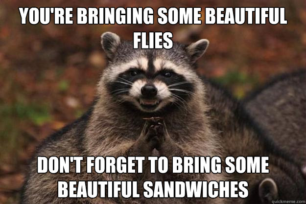 You're bringing some beautiful flies don't forget to bring some beautiful sandwiches   Evil Plotting Raccoon