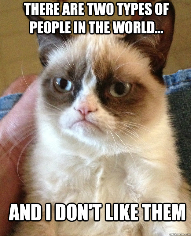 There are two types of people in the world... and I don't like them  Grumpy Cat