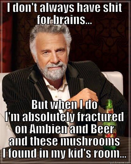 12 STEP FAILS - I DON'T ALWAYS HAVE SHIT FOR BRAINS... BUT WHEN I DO I'M ABSOLUTELY FRACTURED ON AMBIEN AND BEER AND THESE MUSHROOMS I FOUND IN MY KID'S ROOM... The Most Interesting Man In The World