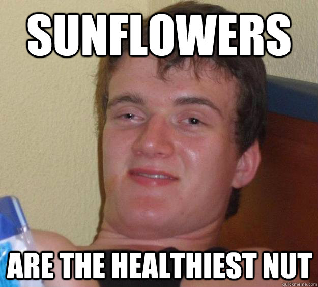 SUNFLOWERS are the healthiest nut  10 Guy