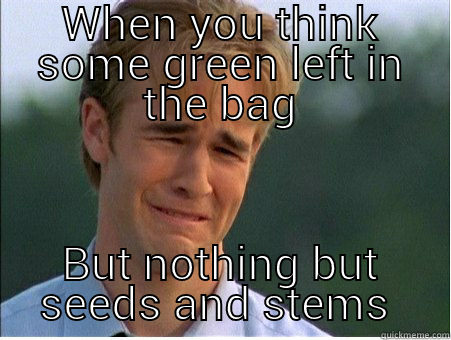 Sad sad day  - WHEN YOU THINK SOME GREEN LEFT IN THE BAG BUT NOTHING BUT SEEDS AND STEMS  1990s Problems
