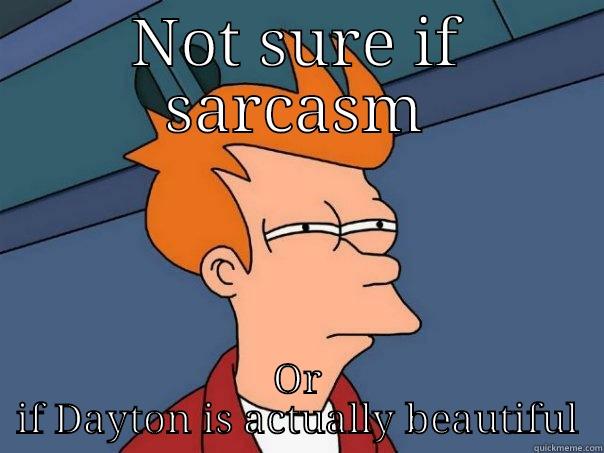 NOT SURE IF SARCASM OR IF DAYTON IS ACTUALLY BEAUTIFUL Futurama Fry