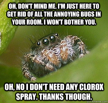 Oh, don't mind me. I'm just here to get rid of all the annoying bugs in your room. I won't bother you.  Oh, no I don't need any clorox spray. Thanks though.  - Oh, don't mind me. I'm just here to get rid of all the annoying bugs in your room. I won't bother you.  Oh, no I don't need any clorox spray. Thanks though.   Misunderstood Spider