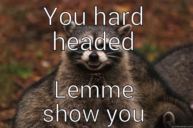 YOU HARD HEADED LEMME SHOW YOU Evil Plotting Raccoon