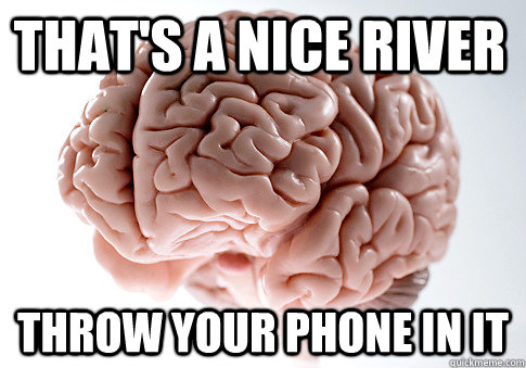 That's a nice river throw your phone in it  Scumbag Brain