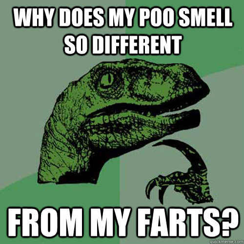 Why does my poo smell so different from my farts? - Why does my poo smell so different from my farts?  Philosoraptor