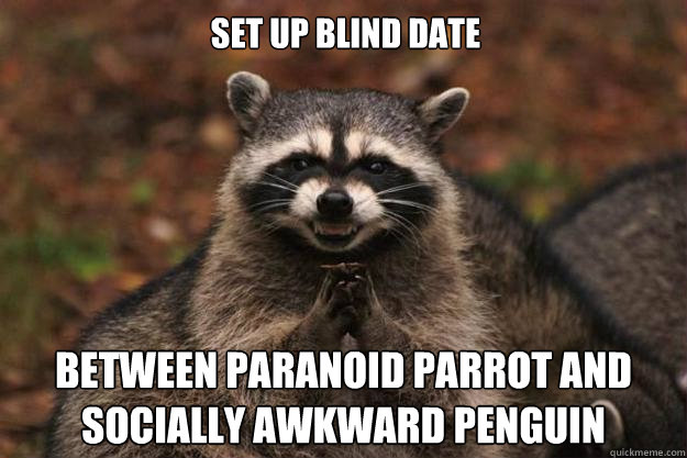 Set up blind date between Paranoid parrot and socially awkward penguin  Evil Plotting Raccoon