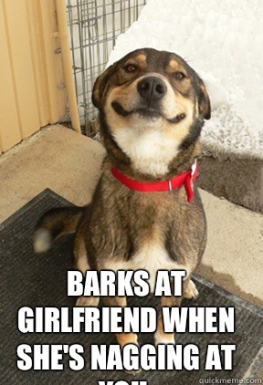  Barks at Girlfriend when she's nagging at you.  -  Barks at Girlfriend when she's nagging at you.   Good Dog Greg