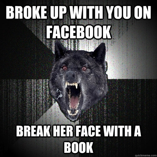 broke up with you on facebook break her face with a book  Insanity Wolf