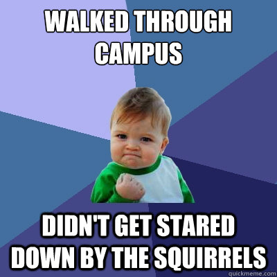 walked through campus didn't get stared down by the squirrels  Success Kid