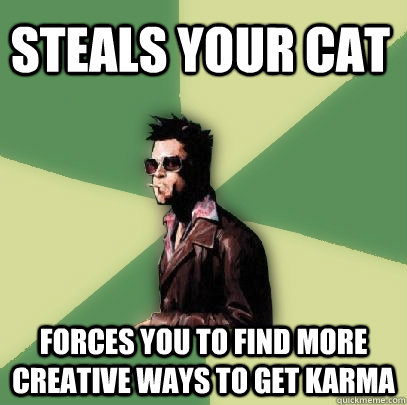 Steals your cat forces you to find more creative ways to get karma  Helpful Tyler Durden