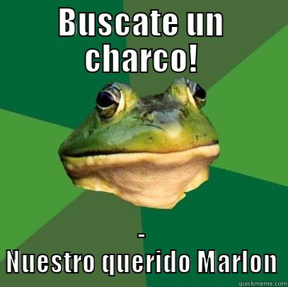 BUSCATE UN CHARCO! - NUESTRO QUERIDO MARLON Foul Bachelor Frog