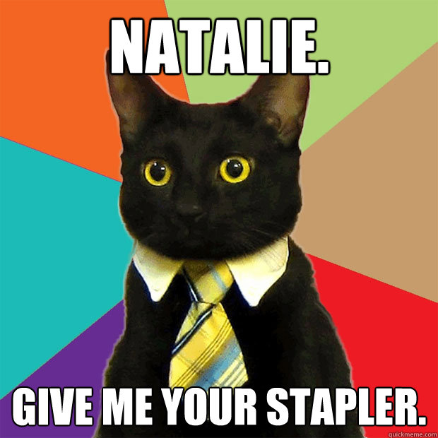 Natalie. Give me your stapler. - Natalie. Give me your stapler.  Business Cat