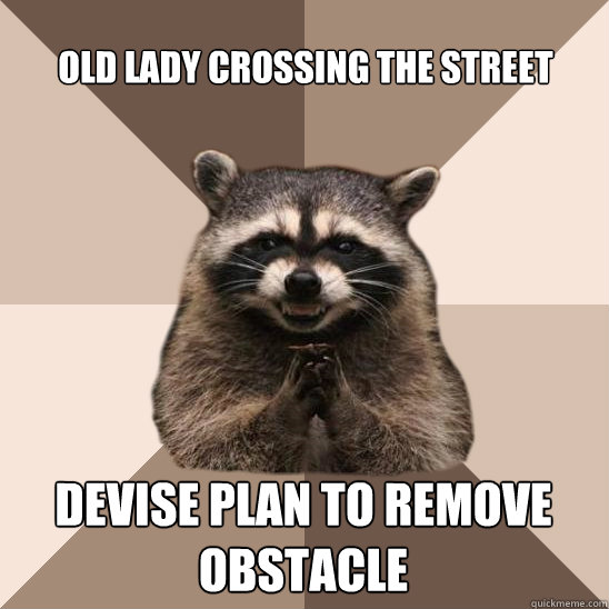 Old lady crossing the street Devise plan to remove obstacle  Evil Plotting Raccoon