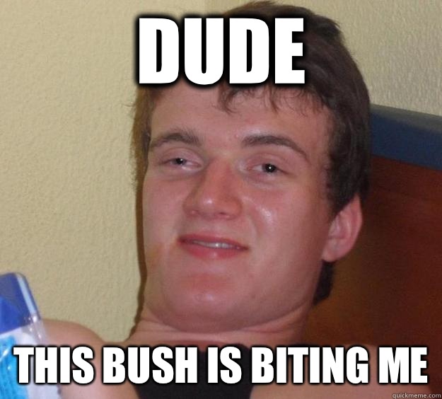 Dude This bush is biting me  10 Guy