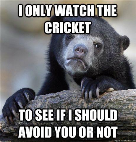 I only watch the cricket to see if i should avoid you or not  Confession Bear