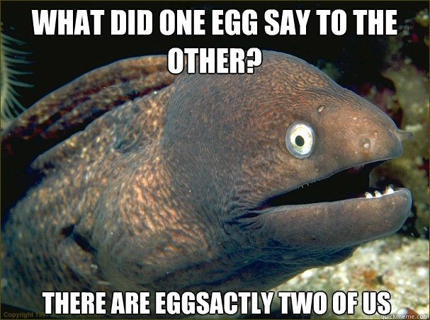 there are eggsactly two of us what did one egg say to the other?  Bad Joke Eel