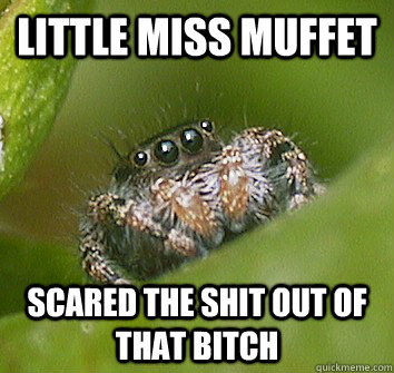 Little miss muffet scared the shit out of that bitch  Misunderstood Spider