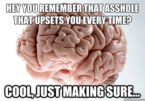 Hey you remember that asshole that upsets you every time? Cool, just making sure...  Scumbag Brain