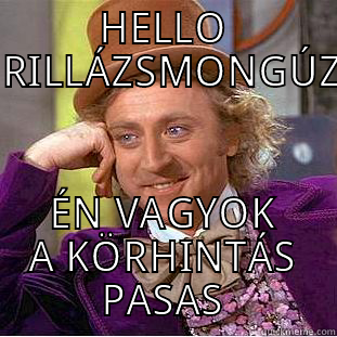 HELLO GRILLÁZSMONGÚZ, ÉN VAGYOK A KÖRHINTÁS PASAS Condescending Wonka