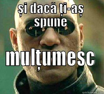 și dacă ți-aș spune - ȘI DACĂ ȚI-AȘ SPUNE MULȚUMESC Matrix Morpheus