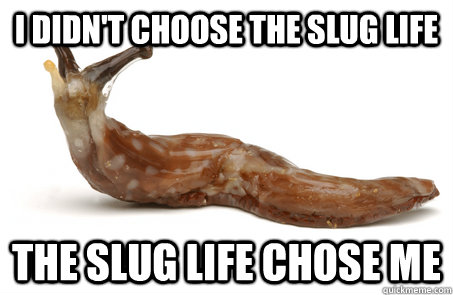 i didn't choose the slug life the slug life chose me  Slug Life