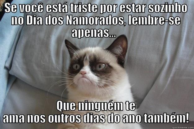 SE VOCÊ ESTÁ TRISTE POR ESTAR SOZINHO NO DIA DOS NAMORADOS, LEMBRE-SE APENAS...   QUE NINGUÉM TE AMA NOS OUTROS DIAS DO ANO TAMBÉM! Grumpy Cat