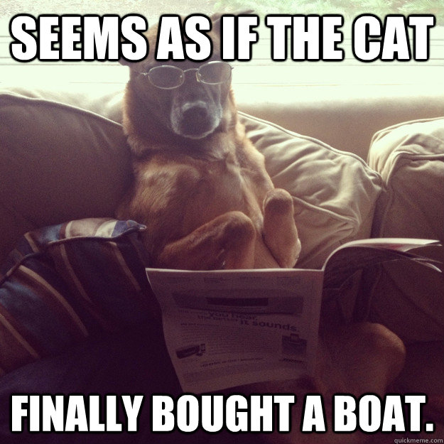 Seems as if the cat Finally bought a boat.  - Seems as if the cat Finally bought a boat.   Misc