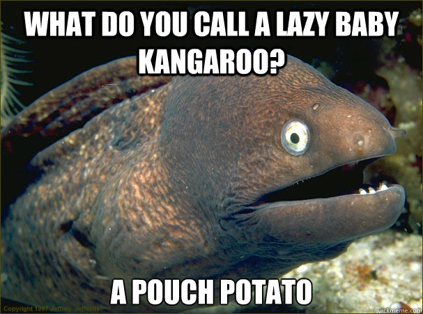 What do you call a lazy baby kangaroo? a pouch potato  Bad Joke Eel