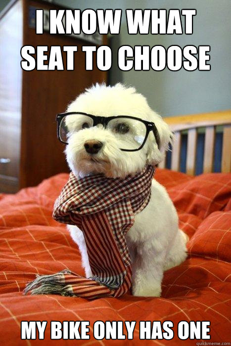 i know what seat to choose my bike only has one  Hipster Dog