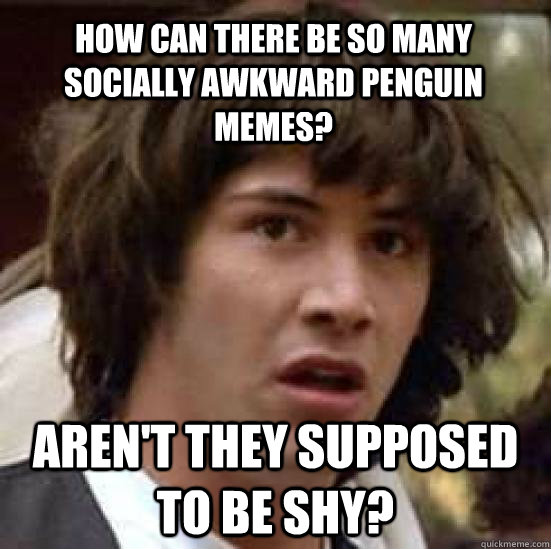 How can there be so many Socially awkward penguin memes? Aren't they supposed to be shy? - How can there be so many Socially awkward penguin memes? Aren't they supposed to be shy?  conspiracy keanu