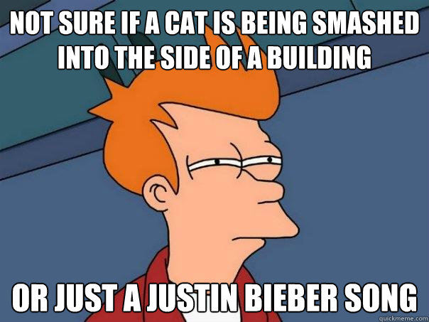 not sure if a cat is being smashed into the side of a building Or just a justin bieber song  Futurama Fry