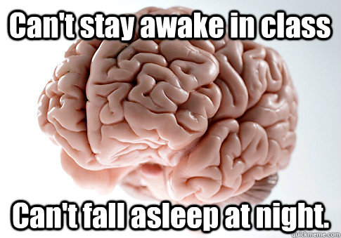 Can't stay awake in class Can't fall asleep at night.   Scumbag Brain