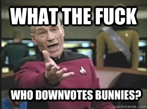 What the fuck Who downvotes bunnies?  Annoyed Picard