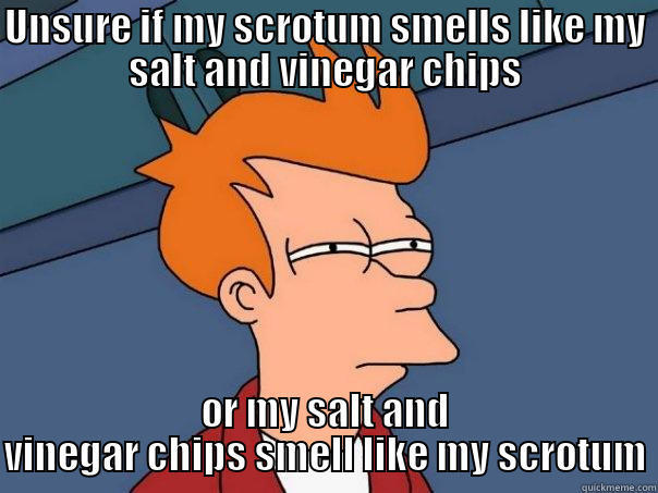 Unsure if  - UNSURE IF MY SCROTUM SMELLS LIKE MY SALT AND VINEGAR CHIPS OR MY SALT AND VINEGAR CHIPS SMELL LIKE MY SCROTUM Futurama Fry