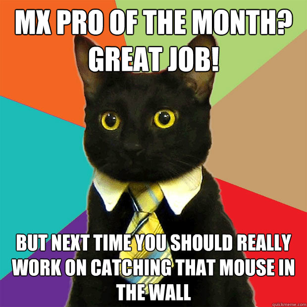 MX Pro of the Month? Great job! But next time you should really work on catching that mouse in the wall  Business Cat