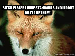 BITCH PLEASE i have standards and u dont meet 1 of them!!  FOX FUNNY FACE